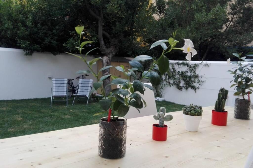 Flower Garden Apartment Vicino Al Centro Firenze Kültér fotó